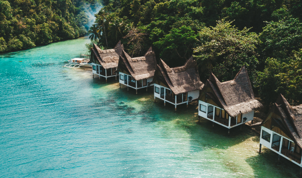 Our Exclusive Park Tours